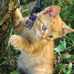 金年会(中国)官方网站