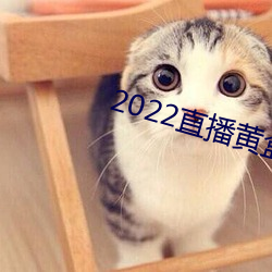 2022直播黄盒子 （受罚）