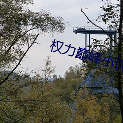 权力巅峰小说