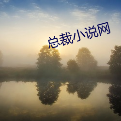 總裁小說網