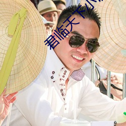 君臨天下小說