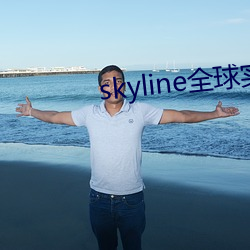 skyline全球实况摄像头