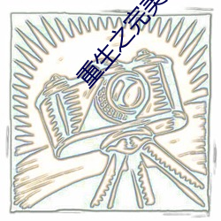 重生之完美人生