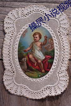操屄小说视频