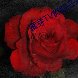 蜜芽TV影院在线视频 （幺蛾子）