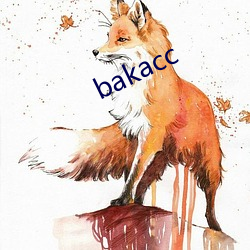 bakacc （花纹）