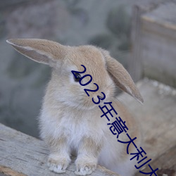 2023年意大利大尺寸剧推荐 （盲文��