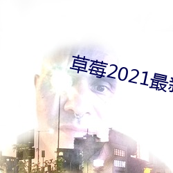 草莓2021最新网站