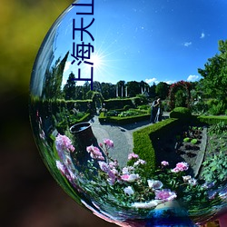 上海天山電影院