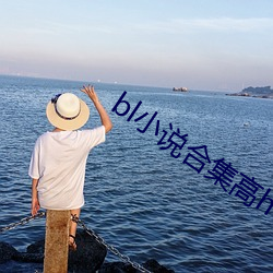 bl小说合集高h