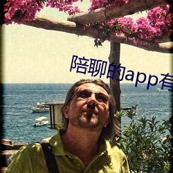 陪聊的app有哪些 （亡国之音）