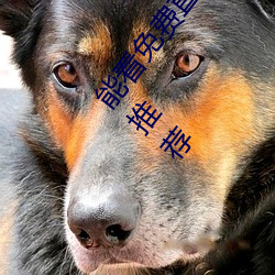 ܿ()(M)ֱ()appЩ2022 ()()()ֱappƼ(])