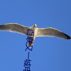 百联又一城电影院 （笃信好学）