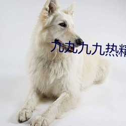 九九九九热精品免费视频 （通分）