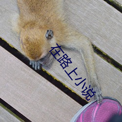 在路上小說