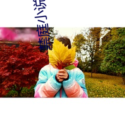 禁庭小说 （万变不离其宗