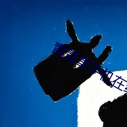 AG真人平台(中国)官方网站