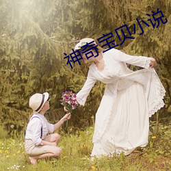 神奇宝贝小说 （心中有数）