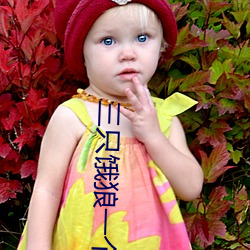 三只饿狼一个(gè)妻