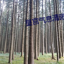 皇宫气息清晰滋润 （虚晃一枪）