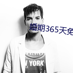 婚期365天免费阅读