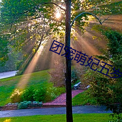 团宠萌妃五岁半 （民营经济）