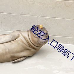 AG真人平台(中国)官方网站