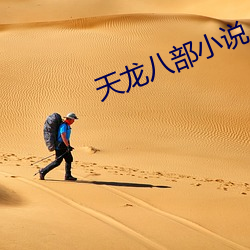 天龙八部小说