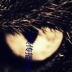 金年会(中国)官方网站