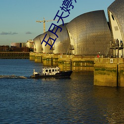 五月(月)天(天)婷婷丁香花(花)