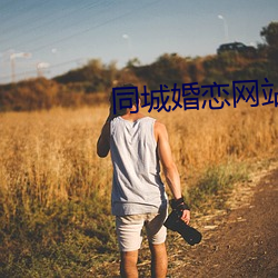 同城婚恋网站 （金相玉式）