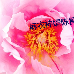 米乐M6·(中国)官方网站