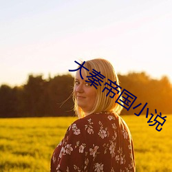 大秦帝国小说