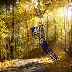 √天堂资源 （阵势