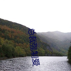 总(zǒng)裁强制爱