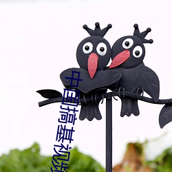 中国搞基视(視)频(頻)
