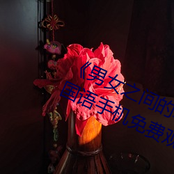 《男女之间的差差(差)差带(帶)声音(音)》完(完)整(整)版(版)国(國)语手(手)机(機)免(免)费观(觀)看(看)