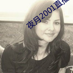 夜(夜)月2001直播app