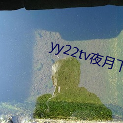 yy22tv夜月下载 （龙争虎战）