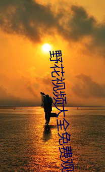 野花视频大(dà)全(quán)免(miǎn)费寓目3