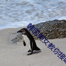 韓國美女教你接吻
