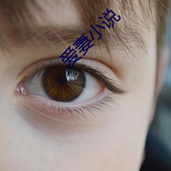 愛妻小說
