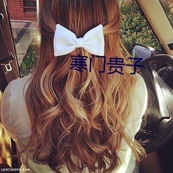 寒门贵子(子)