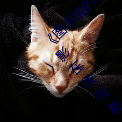 欧博abg - 官方网址登录入口