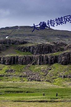 大象传媒网址