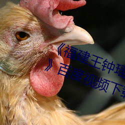 《福建王(王)钟瑶(瑤)婚礼(禮)5分37秒视频线(線)上》百度视(視)频(頻)下载