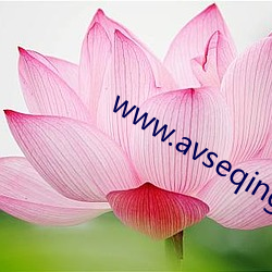 www.avseqing.con