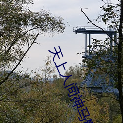 天(tiān)上人间神马影院