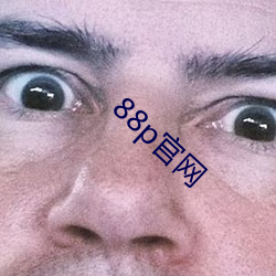 88p官网