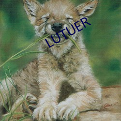 LUTUER